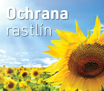 Ochrana rastlín